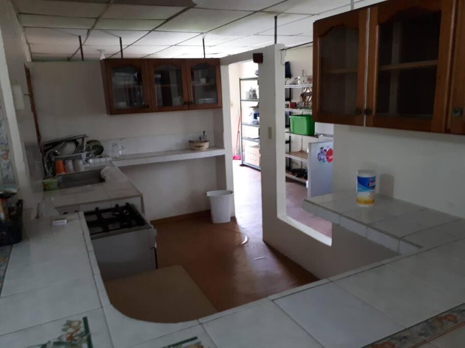 Gia'S Garage & Home For Bocas Travelers Almirante Εξωτερικό φωτογραφία